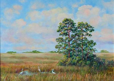 Florida Everglades original painting by Carolton Barron