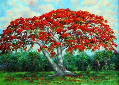 Royal Poinciana original painting by Carolton Barron