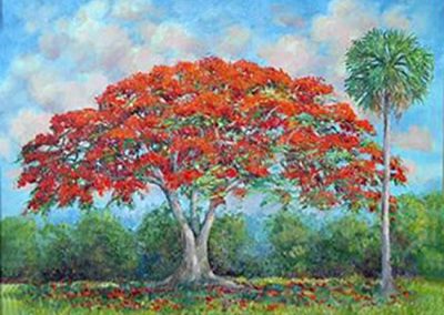 Royal Poinciana original painting by Carolton Barron