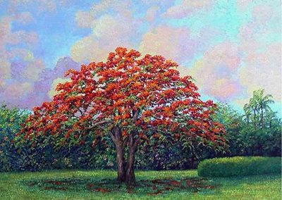 Royal Poinciana original painting by Carolton Barron