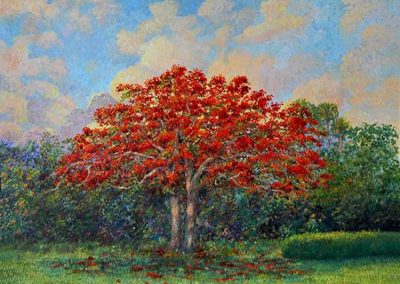 Royal Poinciana original painting by Carolton Barron